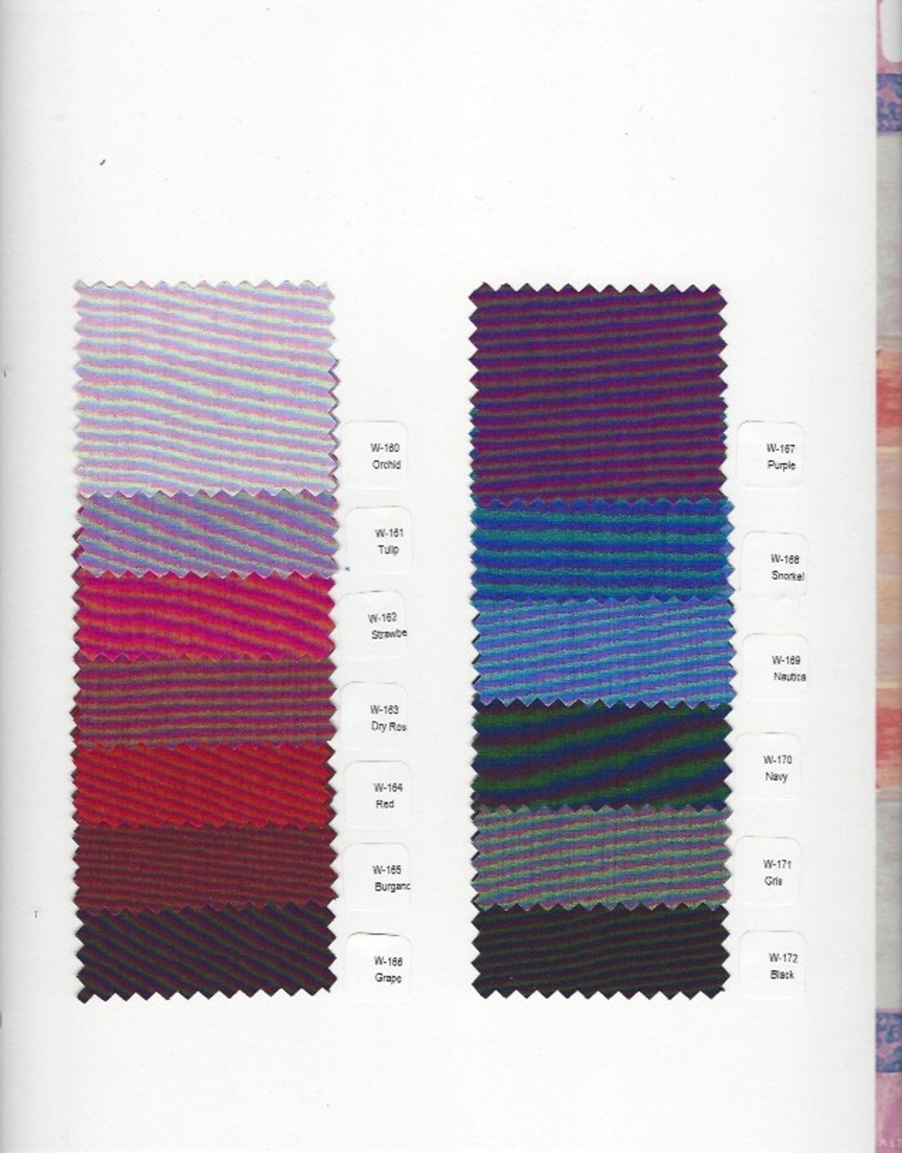 PV20 - MONTECRISTO 21